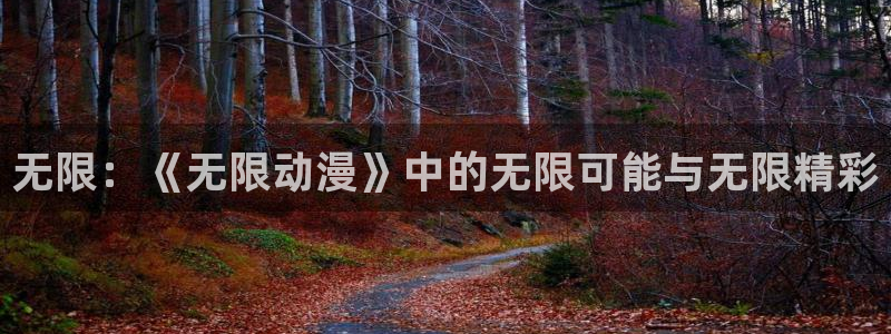 同居天堂动漫：无限：《无限动漫》中的无限可能与无限精彩