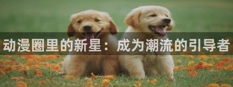 成人动漫天堂：动漫圈里的新星：成为潮流的引导者