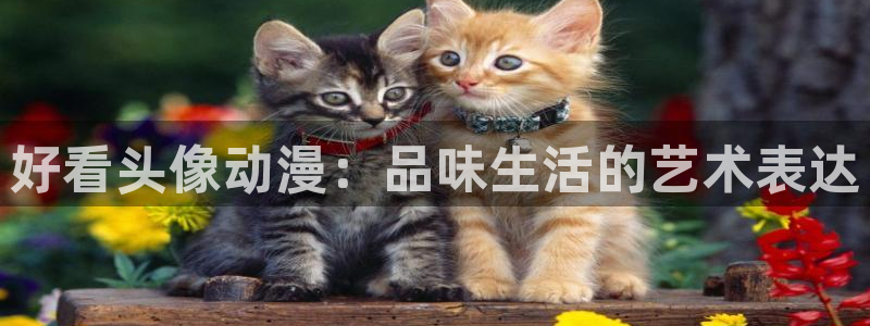 3d动漫天堂网：好看头像动漫：品味生活的艺术表达