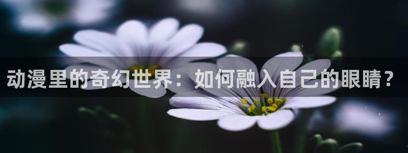 成人动漫天堂：动漫里的奇幻世界：如何融入自己的眼睛？
