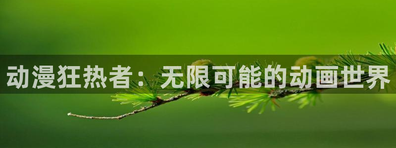 动漫天堂之吻：动漫狂热者：无限可能的动画世界