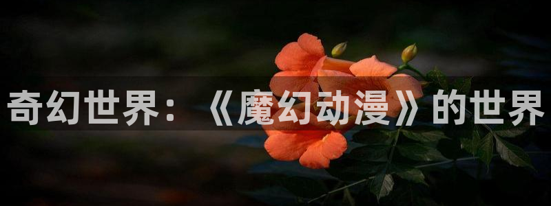 动漫天堂免费下载：奇幻世界：《魔幻动漫》的世界